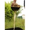 FOX Boilie Baiting Spoon