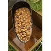 FOX Boilie Baiting Spoon