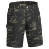 Pinewood Caribou Camou Shorts TC, C 52
