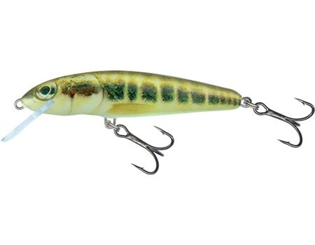 Salmo Minnow 5cm, 3gr., floating, HBL 0,5/1,0m