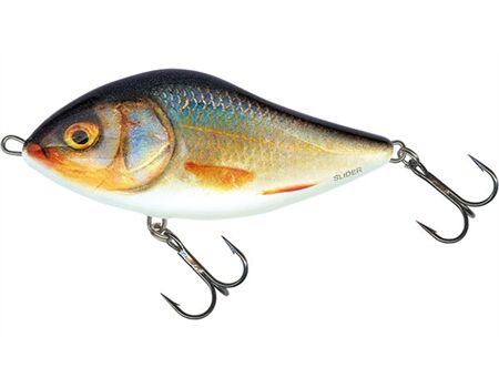 Salmo SD12S REAL ROACH