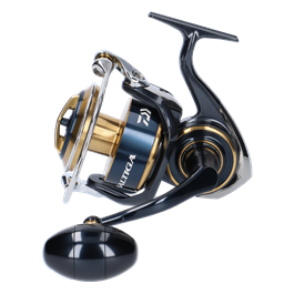DAIWA Saltiga 2020 - 8000-H