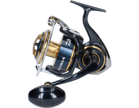 DAIWA Saltiga 2020 - 8000-H