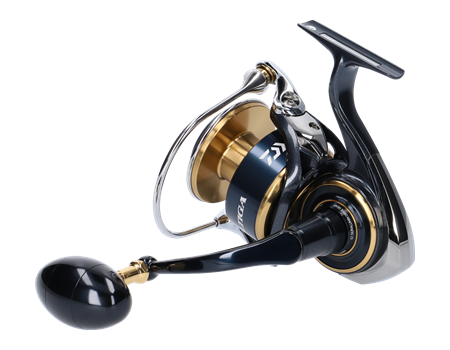 DAIWA Saltiga 2020 - 8000-H