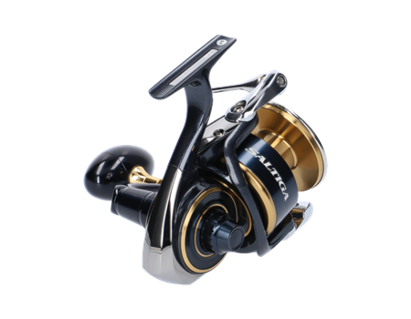 DAIWA Saltiga 2020 - 8000-H