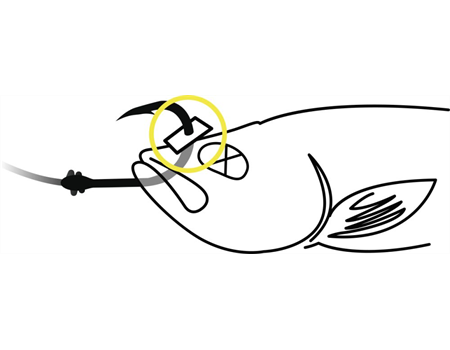 BLACK CAT 1,5m black Baitfish Stopper