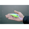 BLACK CAT 50g 16cm special green Black Cat Cranker