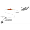 BLACK CAT 2,00m Dead Bait Rig