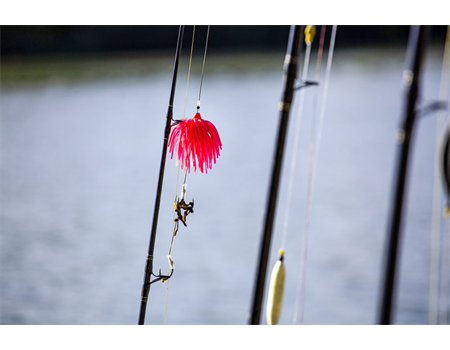 BLACK CAT Real Worm Teaser 160gr. pink