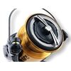 DAIWA 20 GS BR LT 5000-C