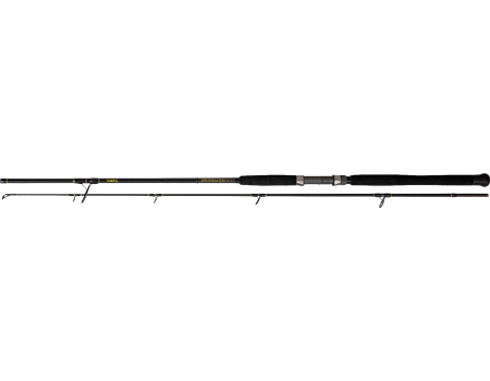 BLACK CAT 2,70m Solid Spin 50g 190g