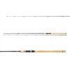 DAIWA Exceler Trad. 2.40m 20-60g