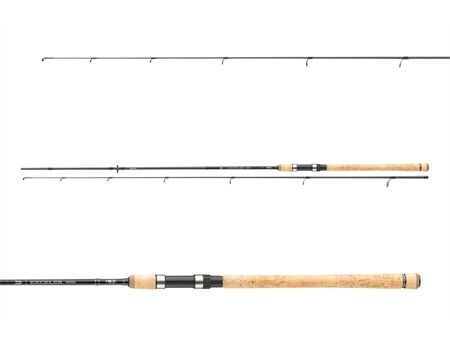 DAIWA Exceler Trad. 2.40m 20-60g