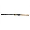 DAIWA Exceler Trad. 2.40m 20-60g