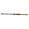 DAIWA Exceler Trad. 2.40m 20-60g