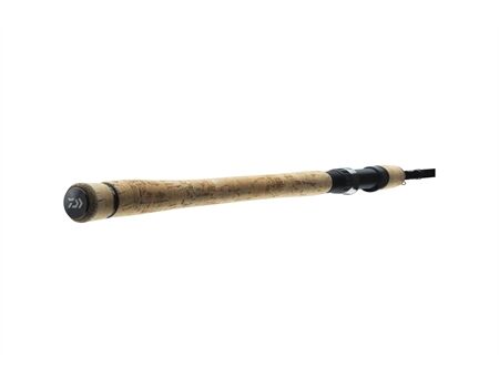 DAIWA Exceler Trad. 2.40m 20-60g