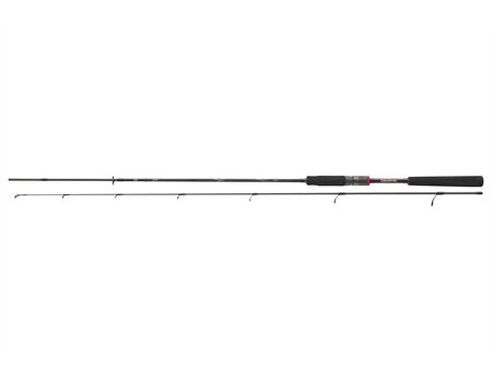 DAIWA Ballistic X