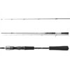 DAIWA DW Pro Staff 2.10m 3-10g