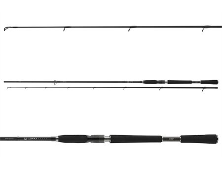 DAIWA DW Pro Staff 2.50m 14-42g