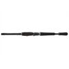 DAIWA DW Pro Staff 2.50m 14-42g