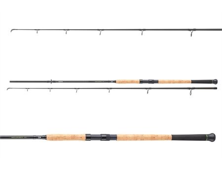 Wallerrute Daiwa