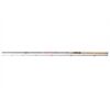 DAIWA Sweepfire Spin 2,70m 40-100g