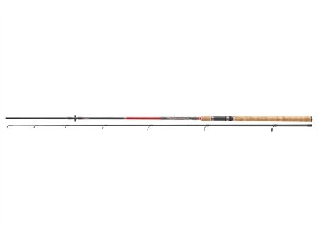 DAIWA Sweepfire Spin 2,70m 40-100g
