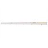 DAIWA Sweepfire Spin 3,00m 40-100g