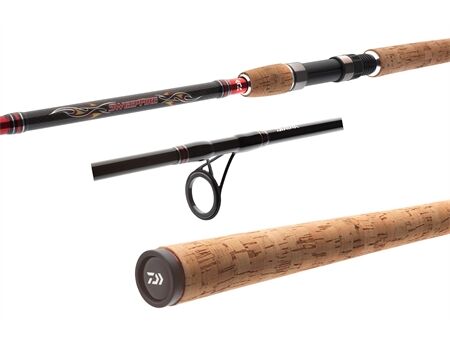 DAIWA Sweepfire Spin 3,00m 40-100g