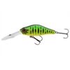 DAIWA TN Mega Scouter 1064FG FT