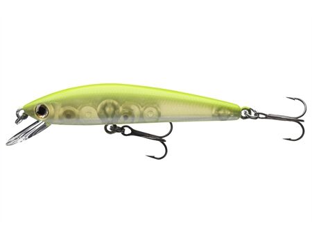 DAIWA TN Baby Minnow 60SP CBP