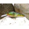 wobbler schwimmend