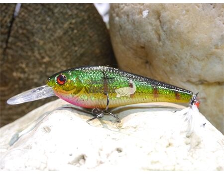 wobbler schwimmend