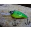 Crankbait