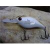Crankbait