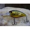 Crankbait