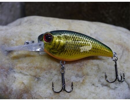 Crankbait