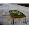 Crankbait