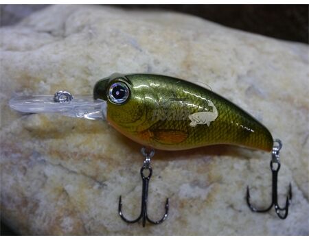 Crankbait