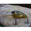 Crankbait