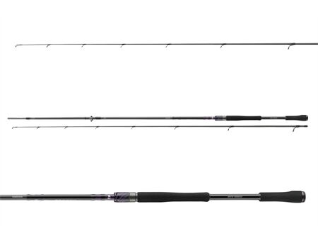 DAIWA Prorex AGS Spin 2tlg | 28-70g | 2.50m