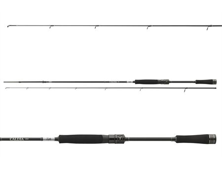 DAIWA Caldia Light Spinnrute | 3-12g | 2.00m