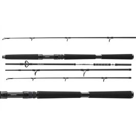 DAIWA BG Travel Pilk 2,40m | 40-125g