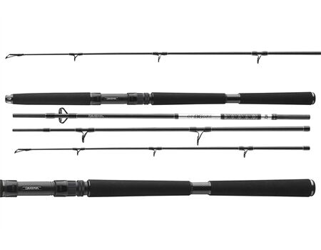 DAIWA BG Travel Pilk 2,40m | 40-125g