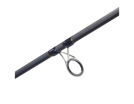 Balzer Diabolo Golden Circle Spin 45, 2,40m