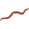 Balzer Wiggle Worm 8cm Motoroil