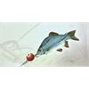 Balzer MK Floating System Gr. L, 14-20cm