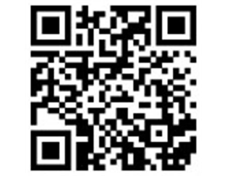 Balzer MK Schaukel-System