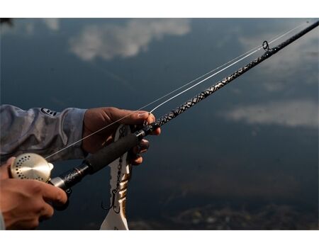 SPORTEX Hydra RS-3 | 2,75m | 21 bis 95g WG Spinnrute