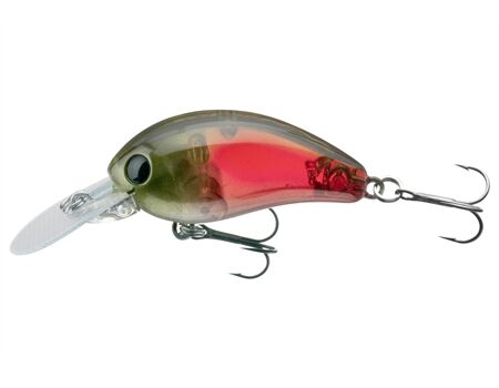 DAIWA TN Baby Crank 35F-DR LR